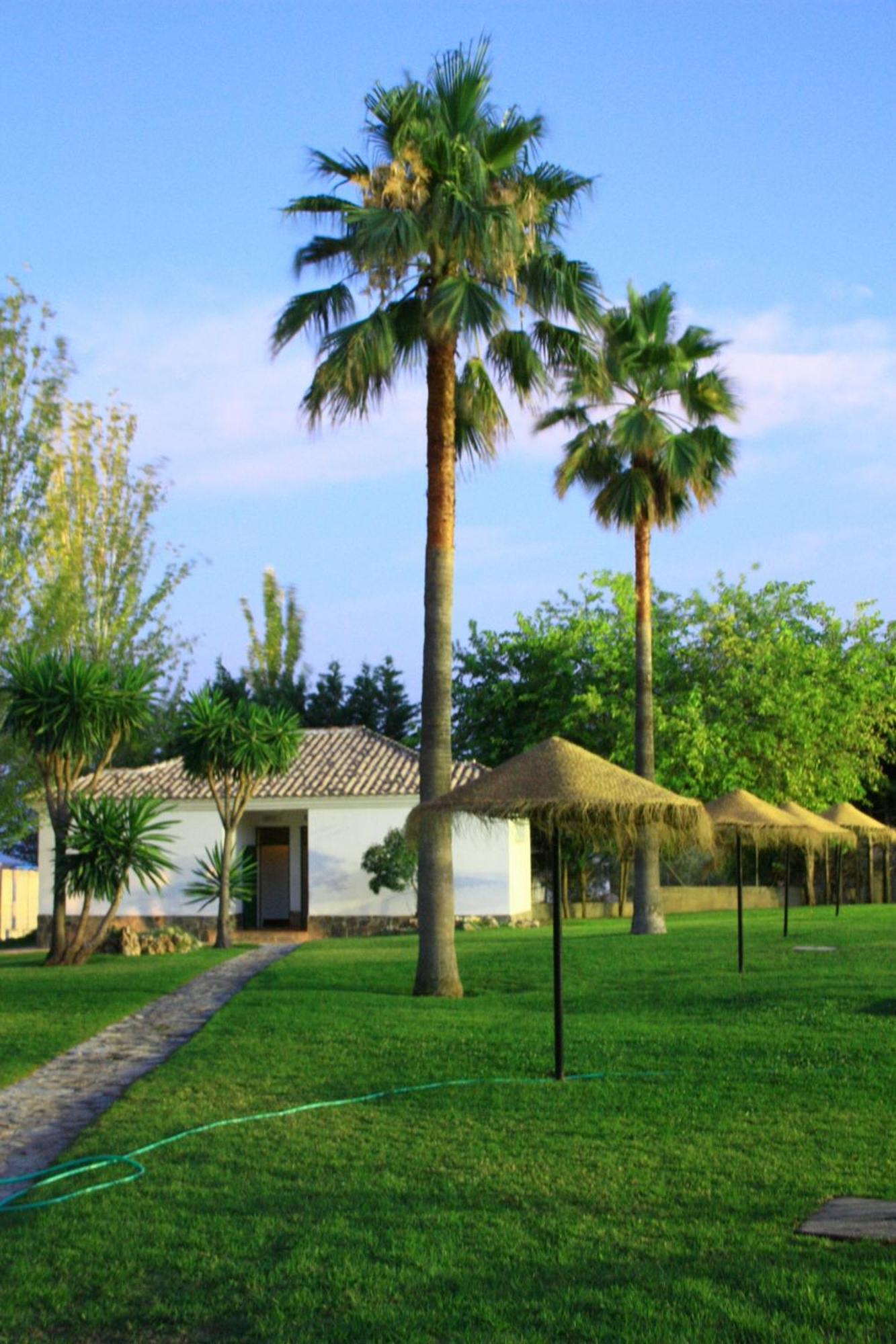 Camping Sierra De Las Nieves Yunquera Buitenkant foto